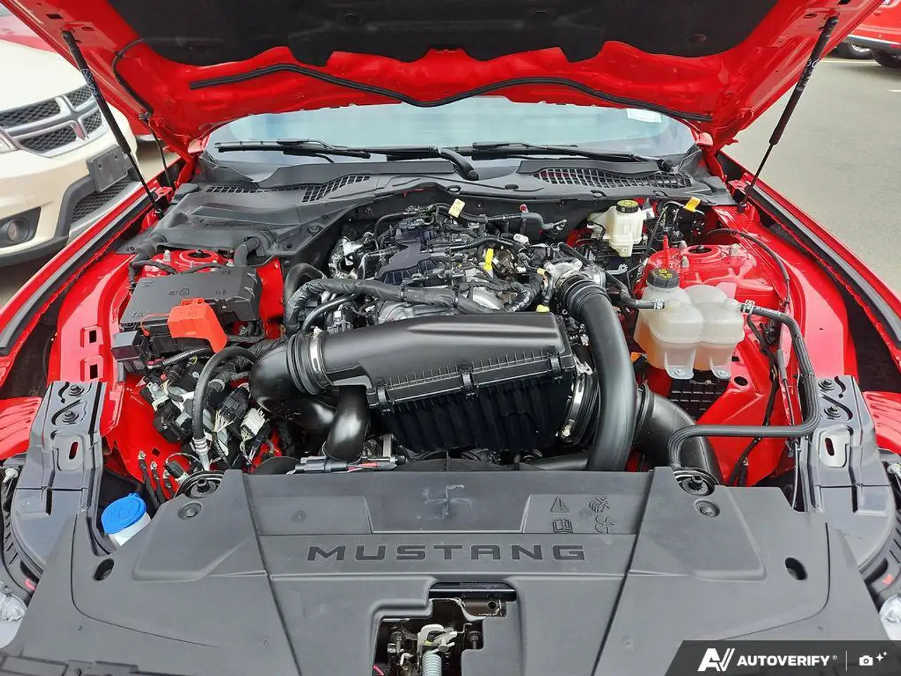 Ford Mustang - Image 10