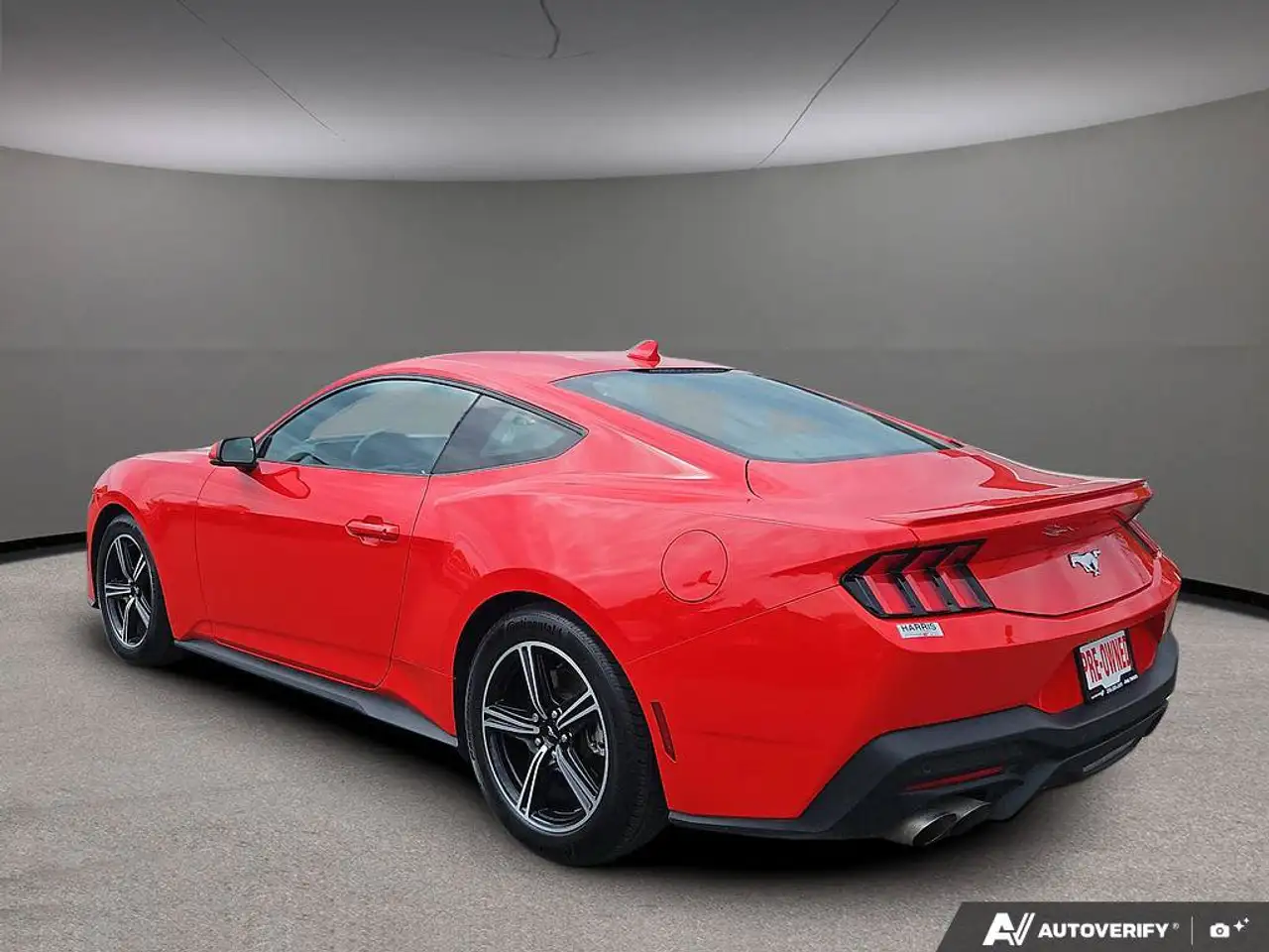 Ford Mustang - Image 4