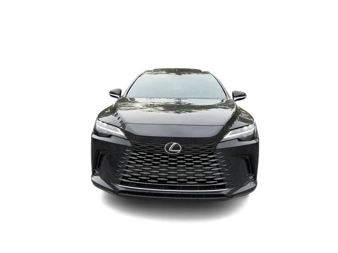 Lexus RX - Image 4