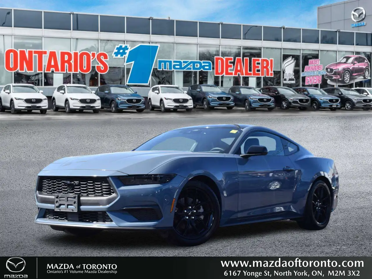 Ford Mustang - Image 1