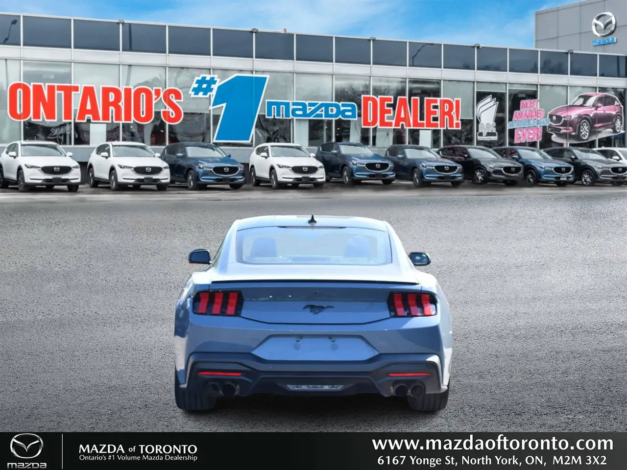 Ford Mustang - Image 7