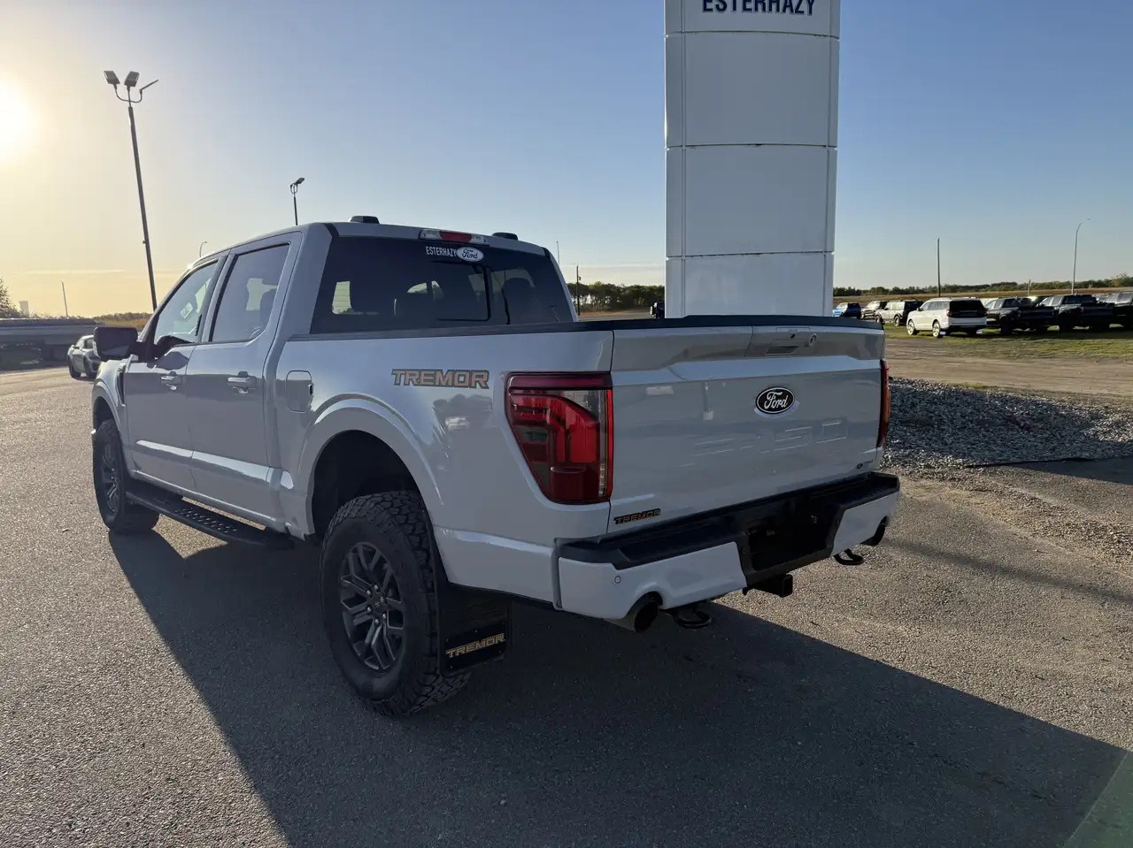 Ford F-150 - Image 5
