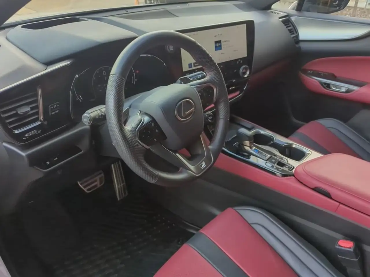 Lexus NX - Image 13