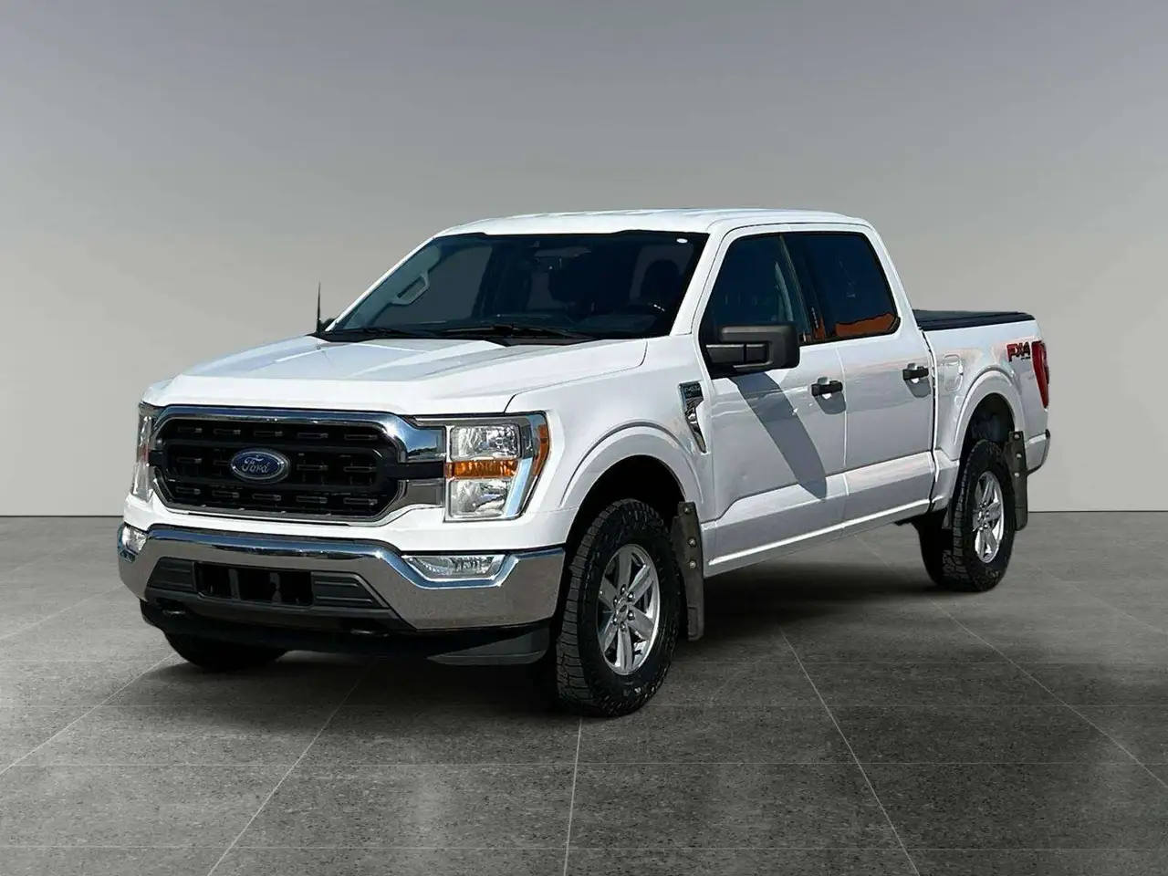 Ford F-150 - Image 1