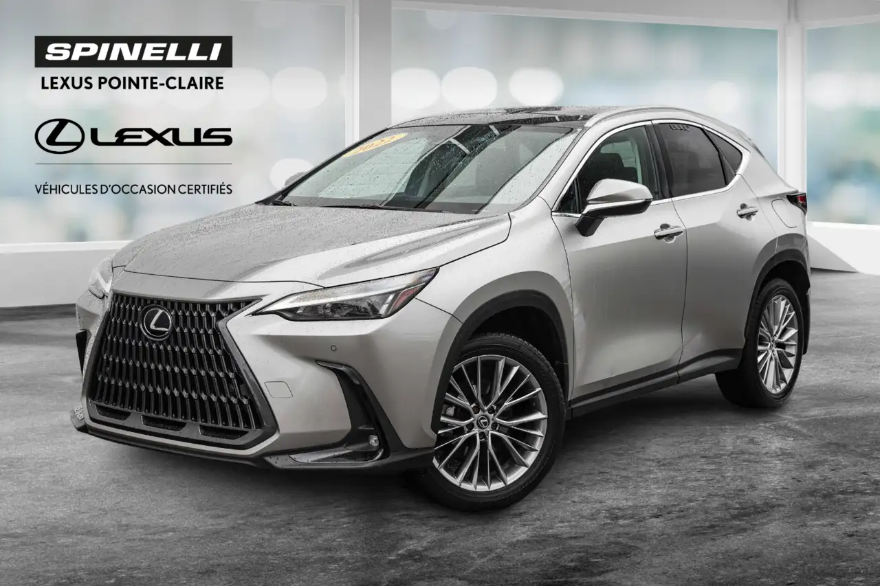 Lexus NX 350 - Image 1