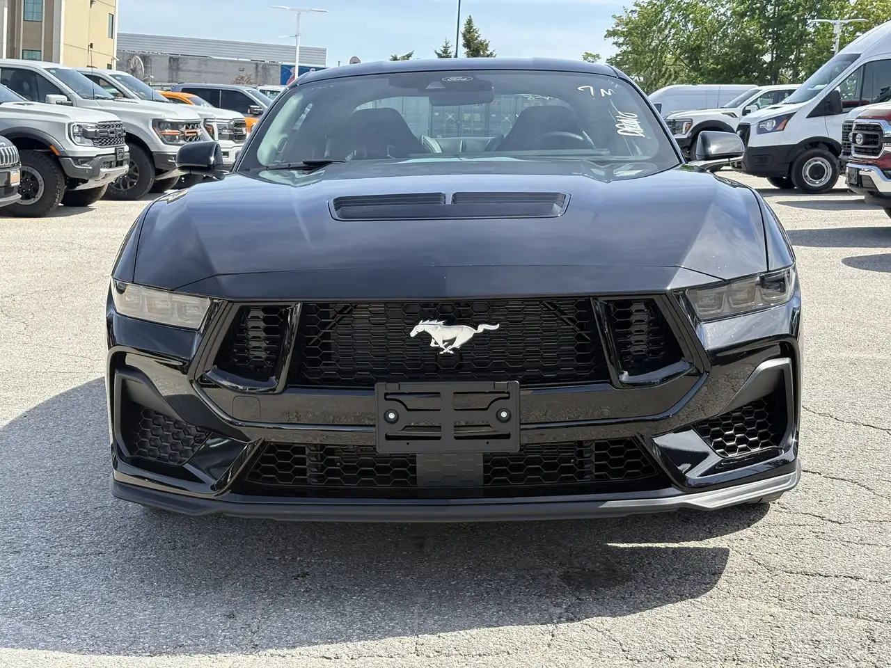 Ford Mustang - Image 3