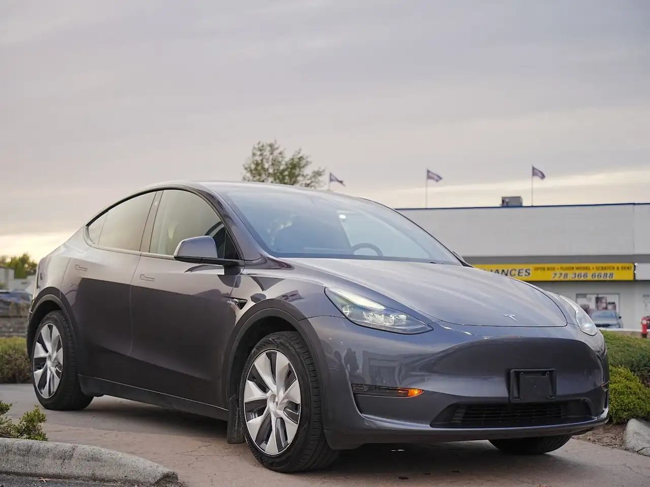 Tesla Model Y - Image 4