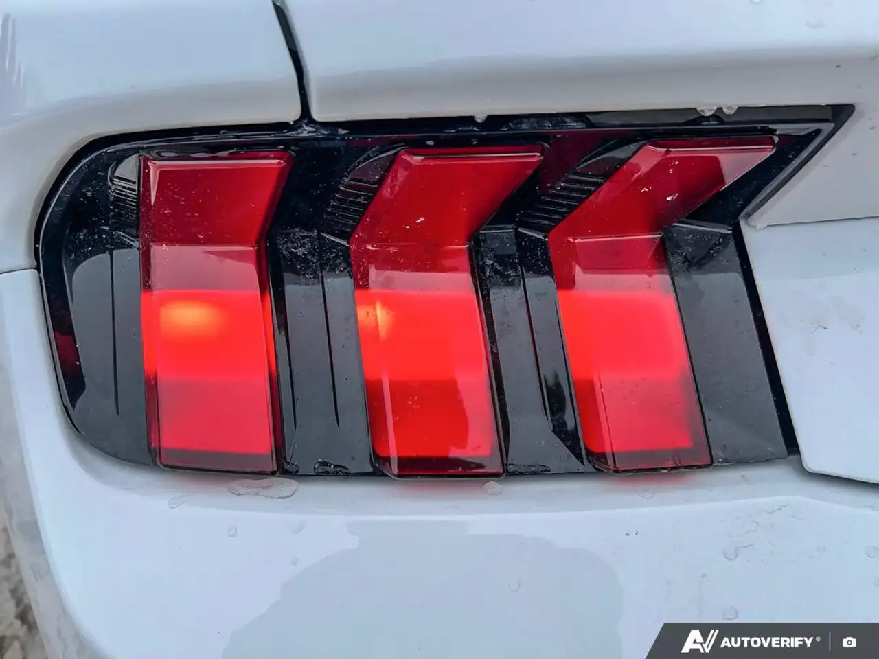 Ford Mustang - Image 9