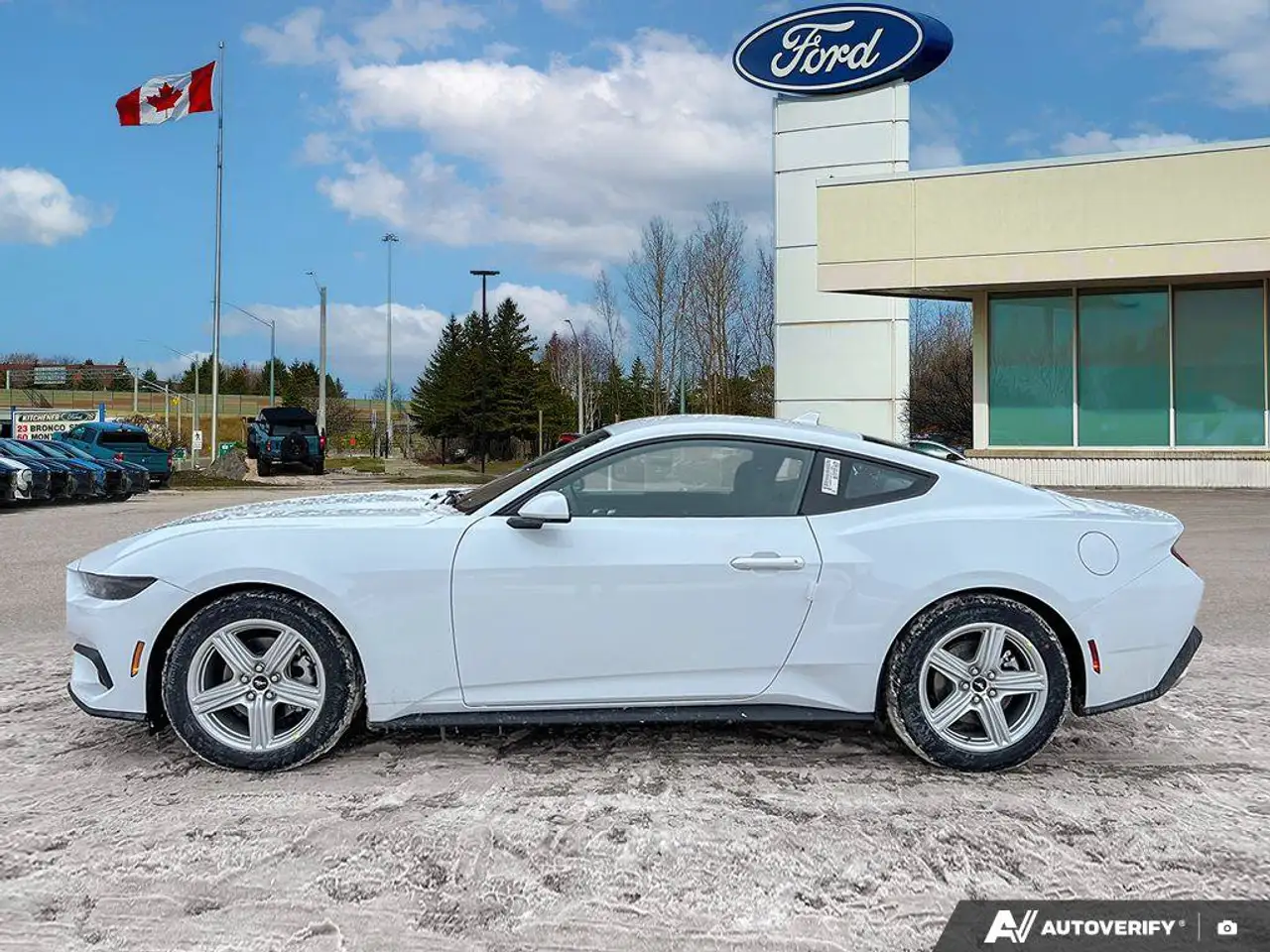 Ford Mustang - Image 4