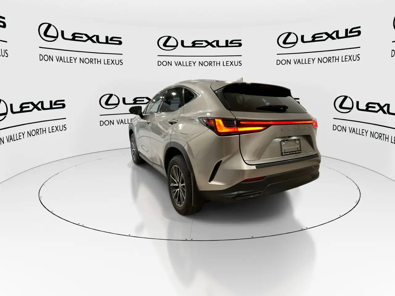 Lexus NX - Image 6