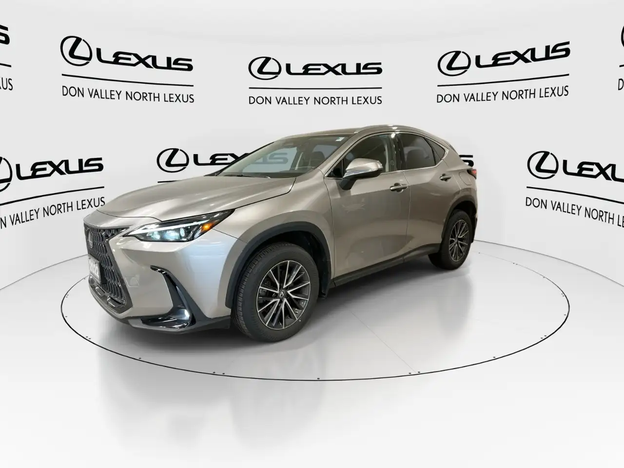 Lexus NX - Image 4