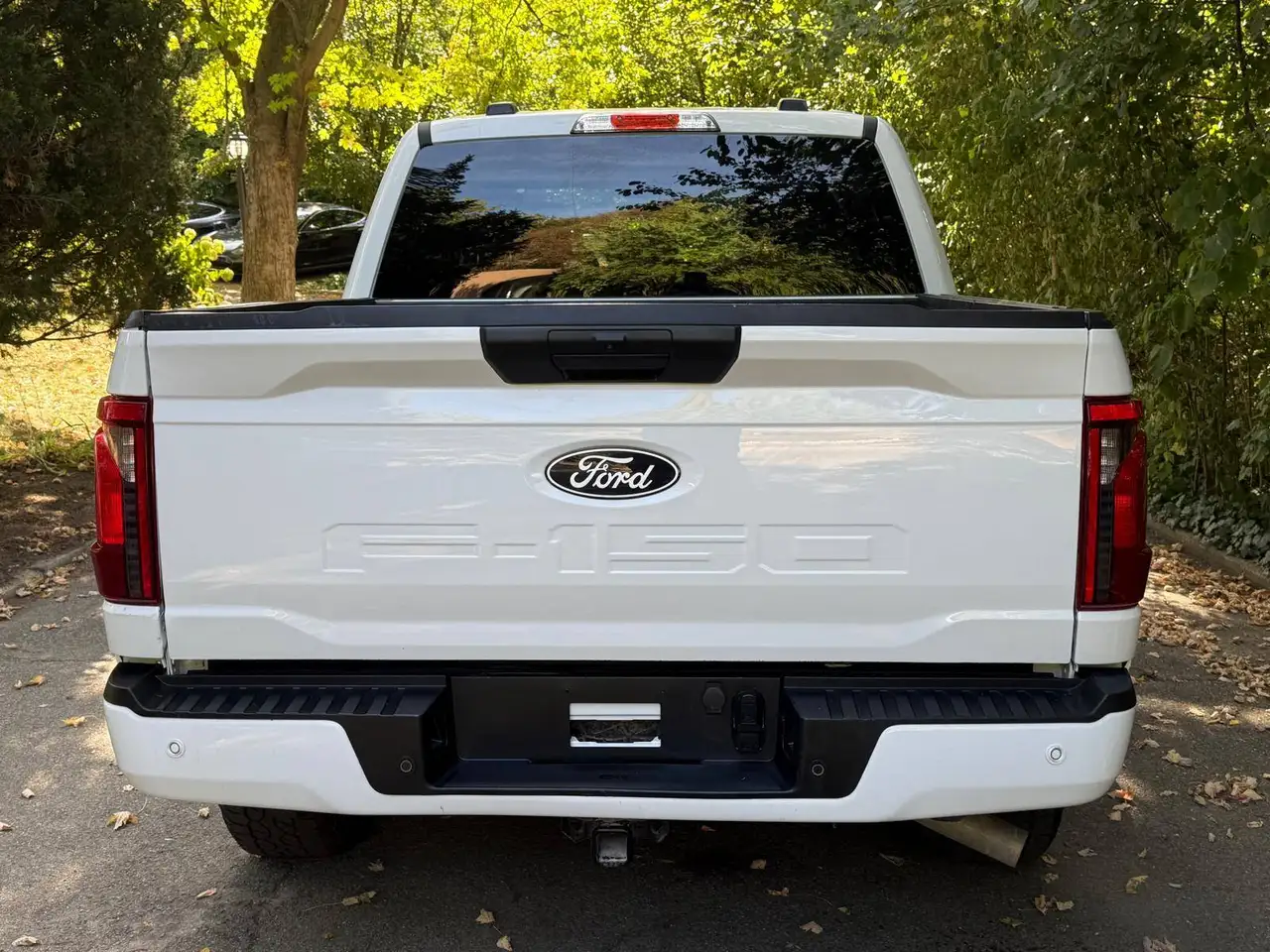Ford F-150 - Image 3