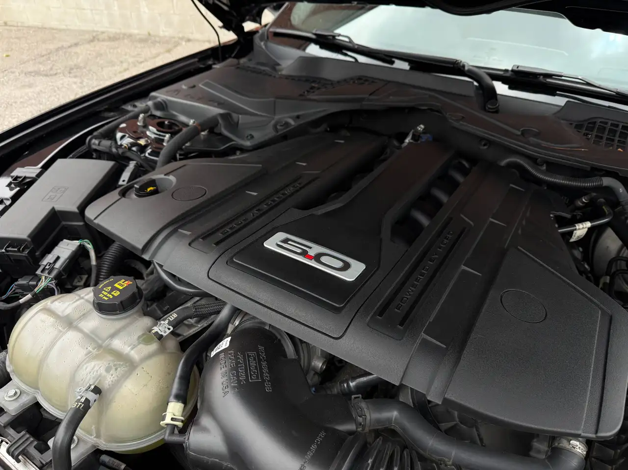Ford Mustang - Image 10