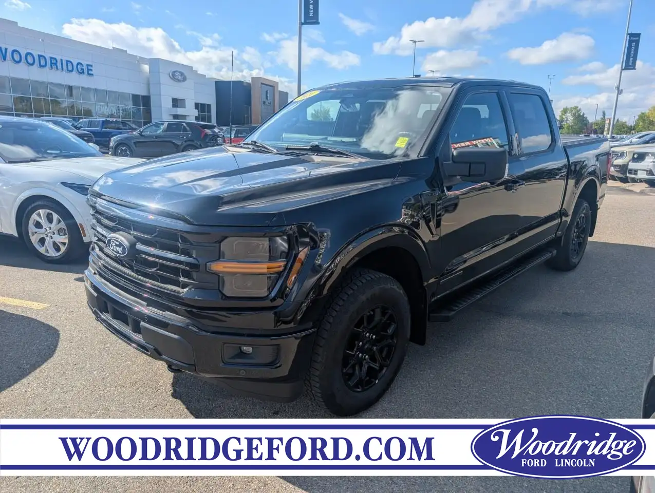 Ford F-150 - Image 1