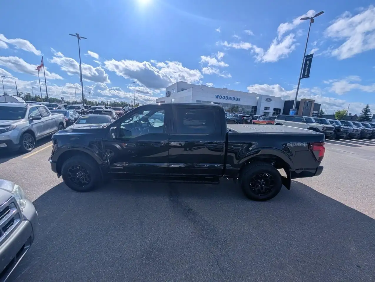 Ford F-150 - Image 4