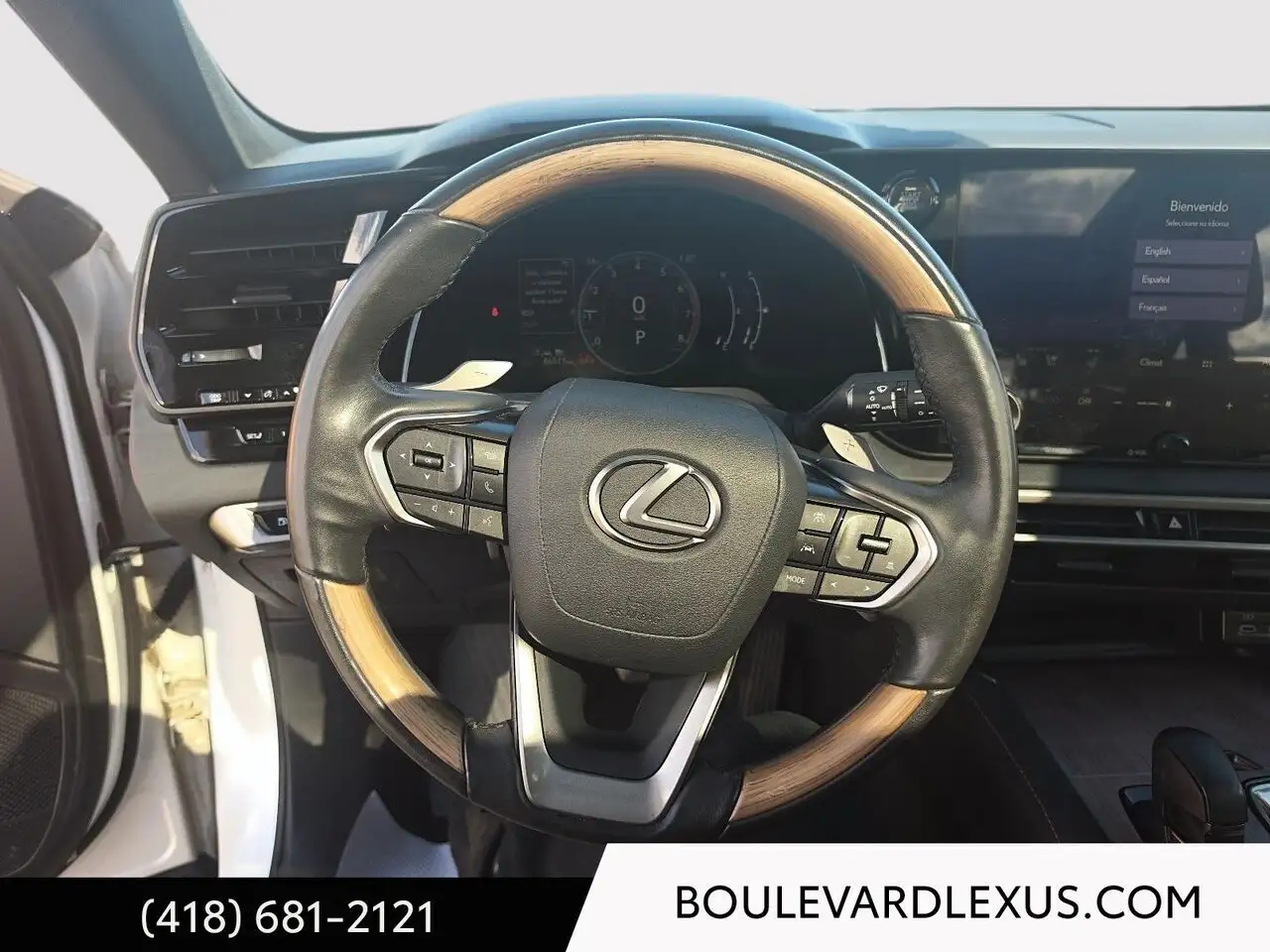 Lexus RX - Image 12