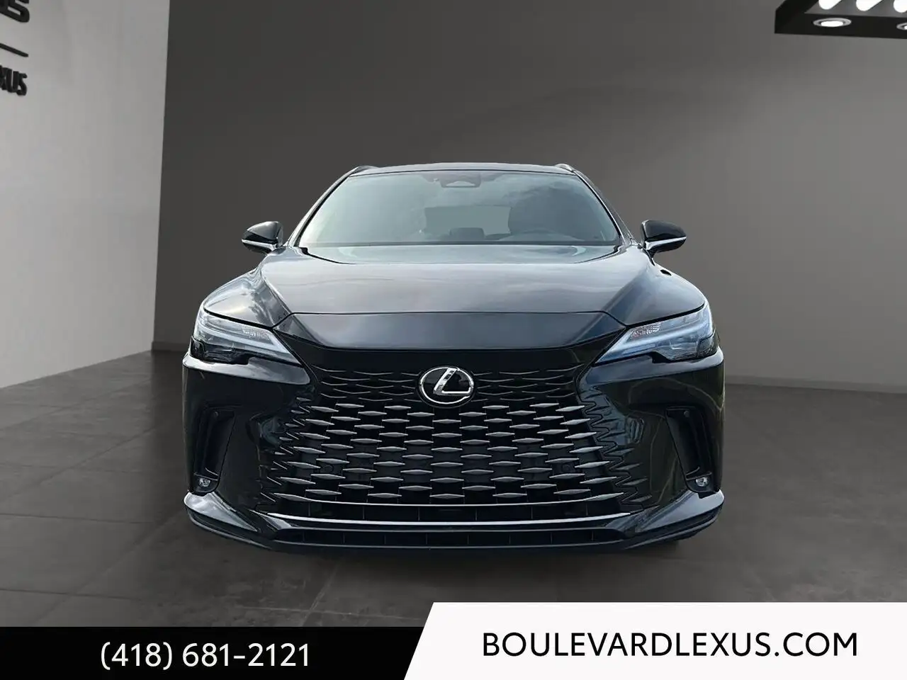 Lexus RX - Image 2