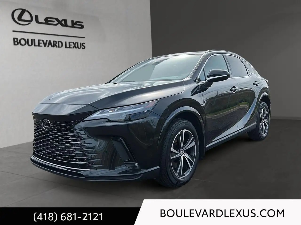 Lexus RX - Image 1