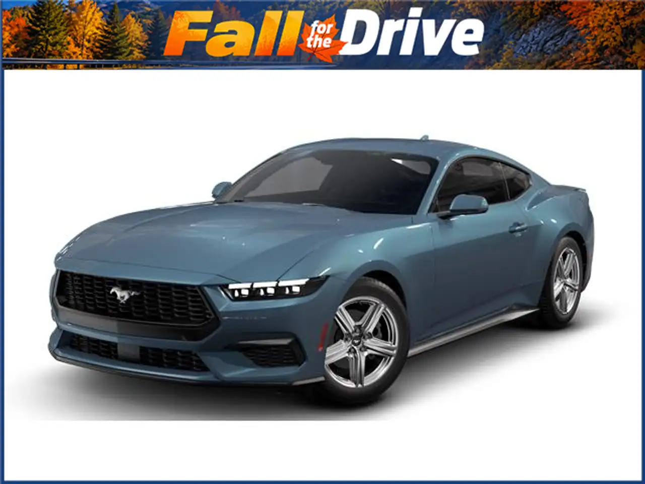 Ford Mustang - Image 1