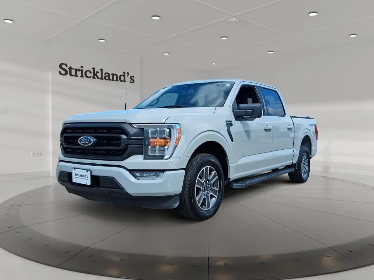 Ford F-150 - Image 1