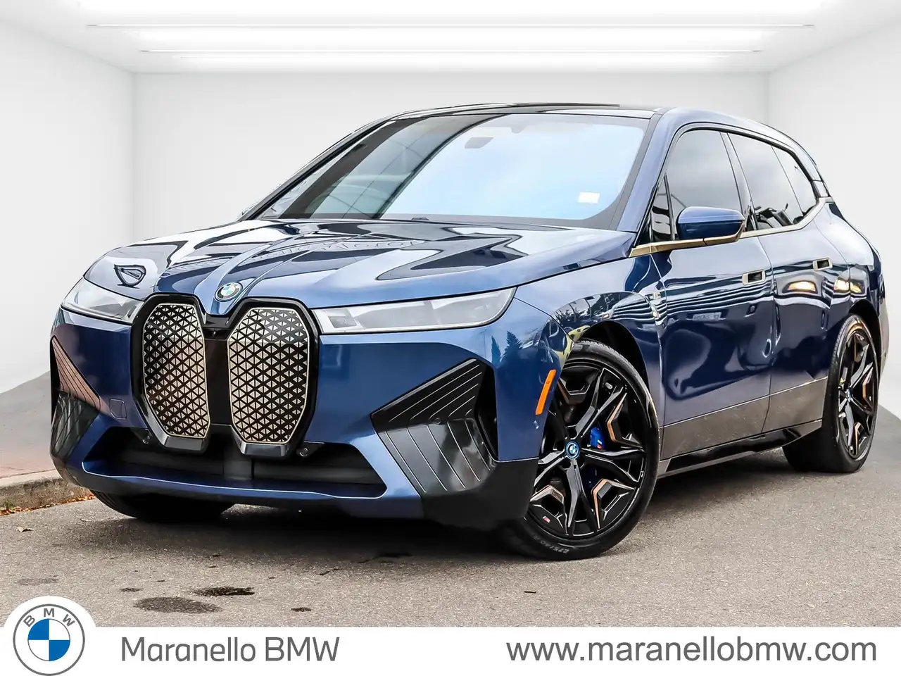BMW iX