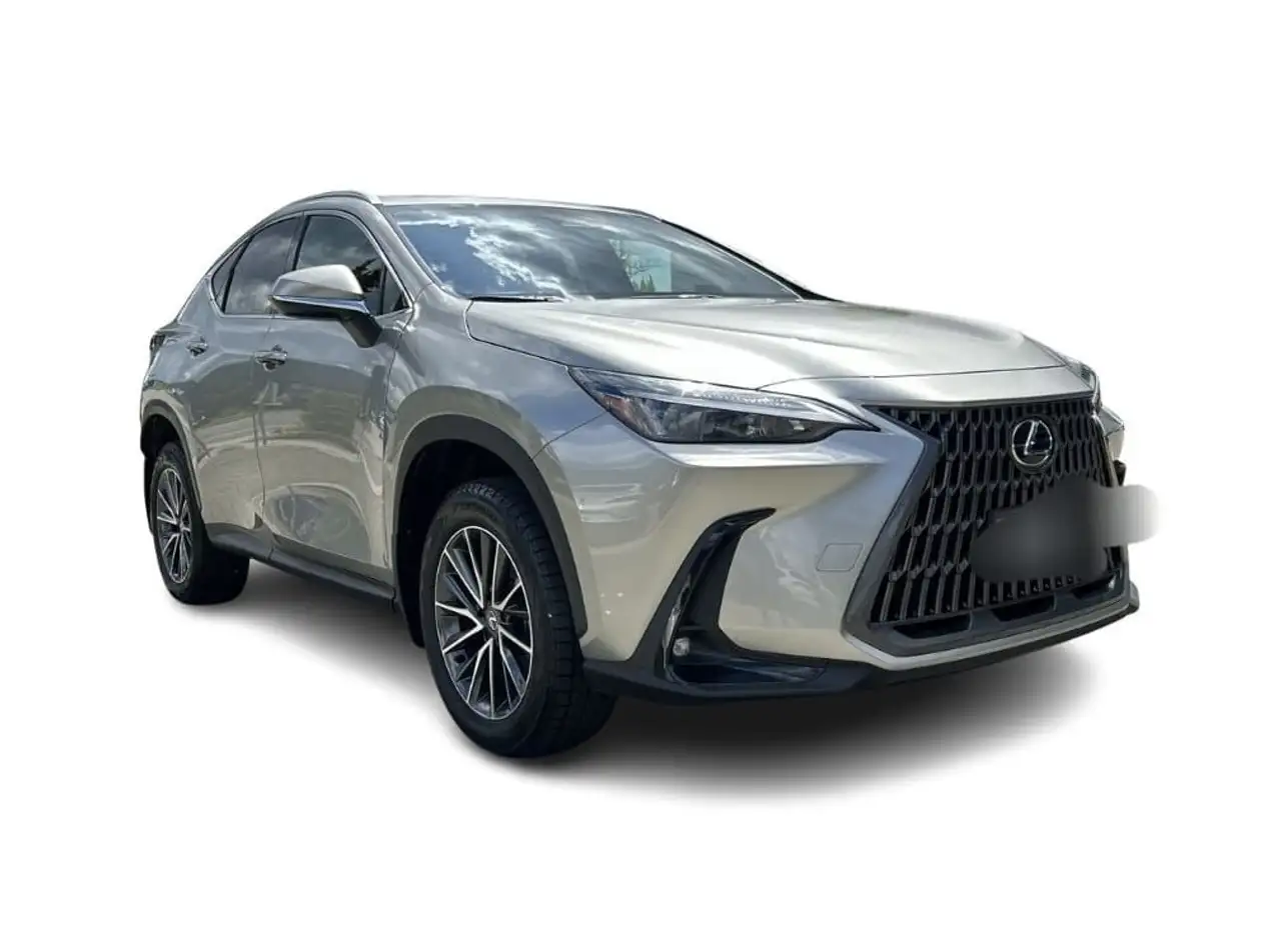 Lexus NX - Image 6
