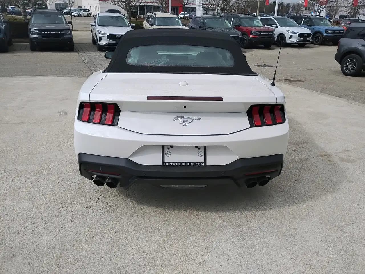 Ford Mustang - Image 4