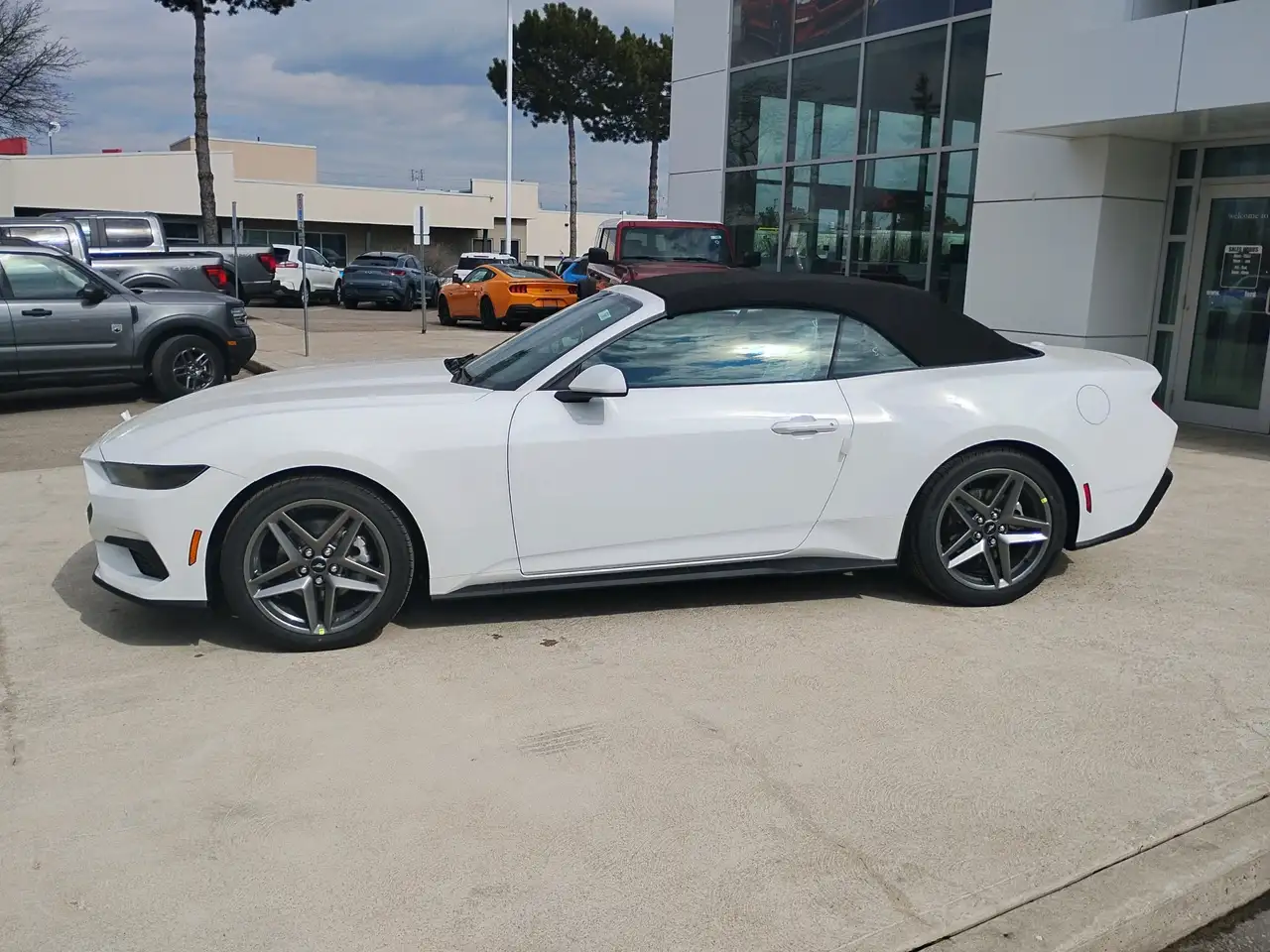 Ford Mustang - Image 2