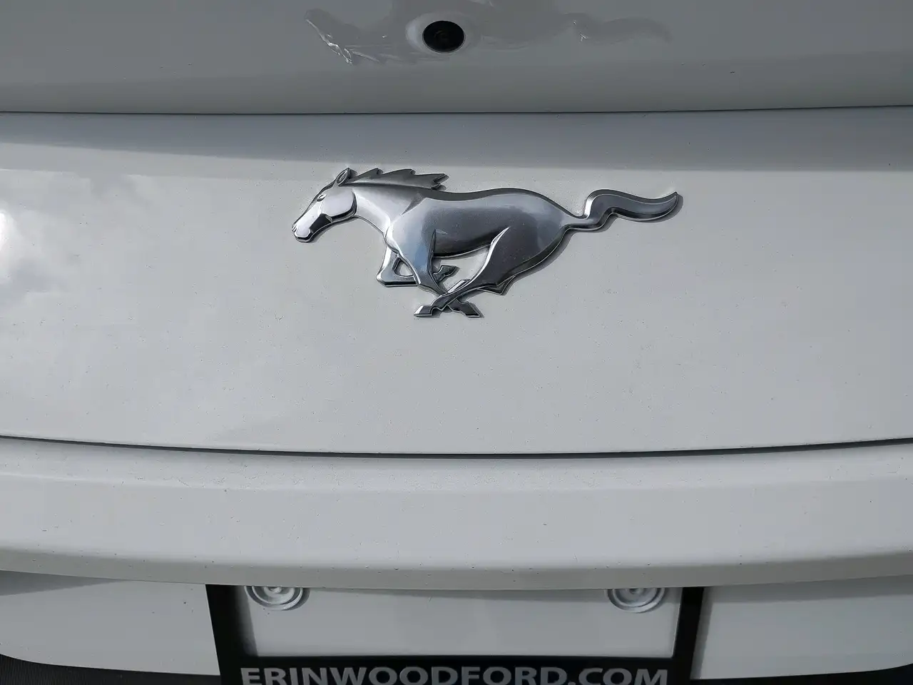 Ford Mustang - Image 5