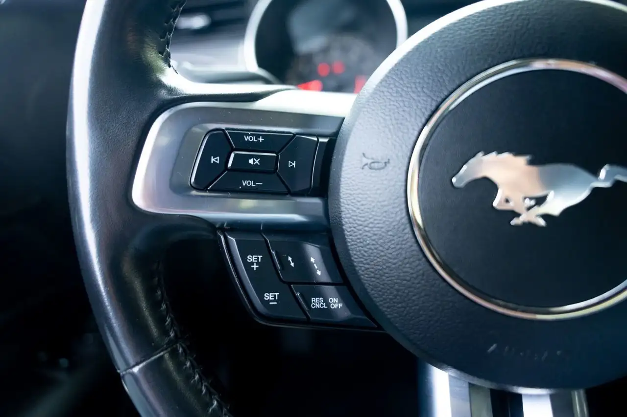 Ford Mustang - Image 13