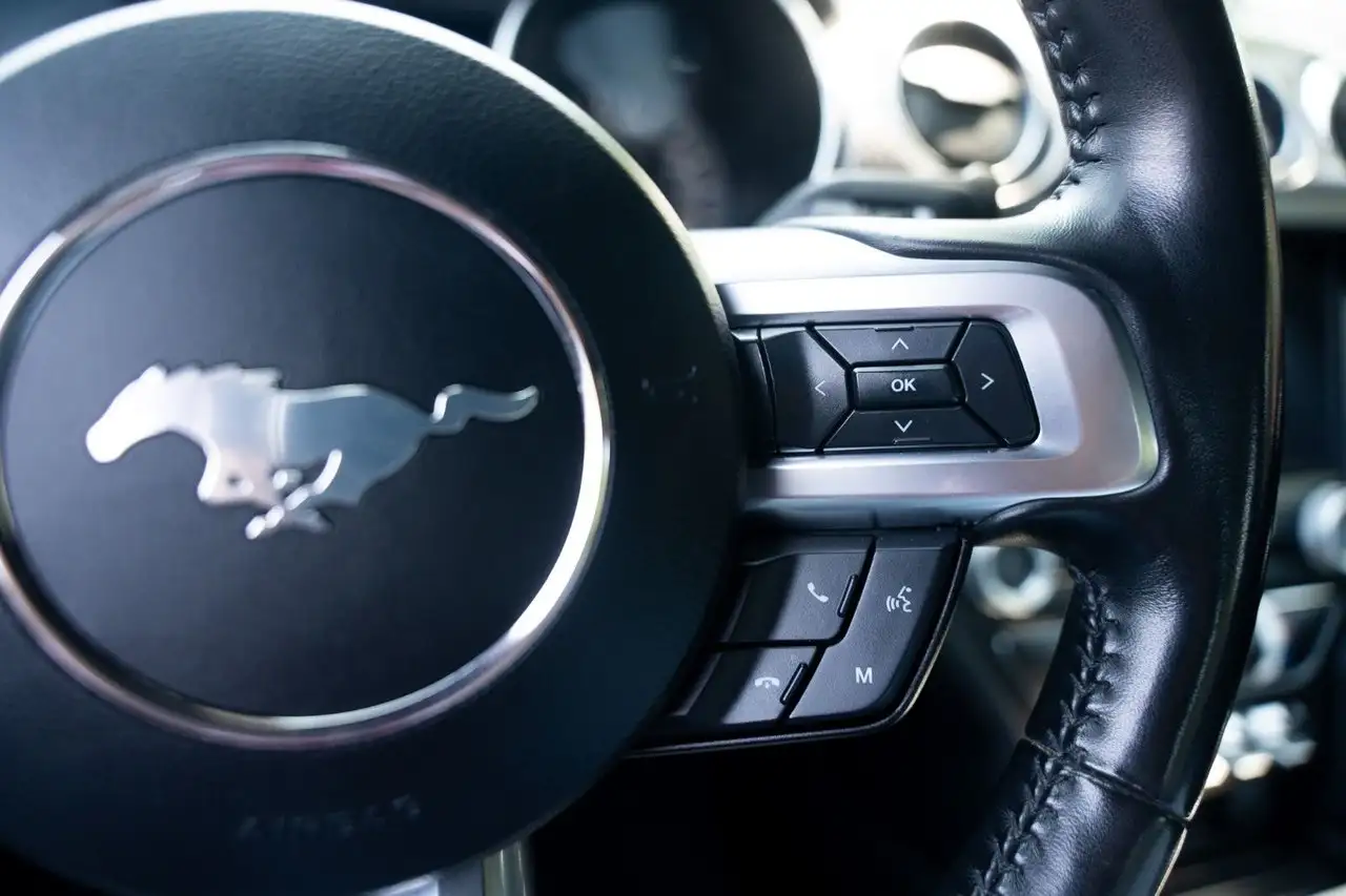 Ford Mustang - Image 14