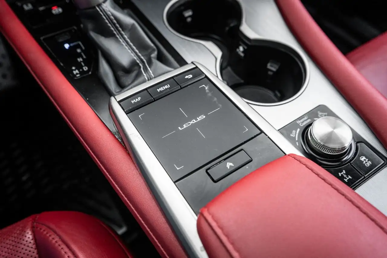 Lexus RX - Image 19