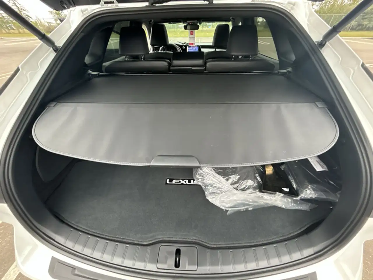 Lexus RX - Image 21