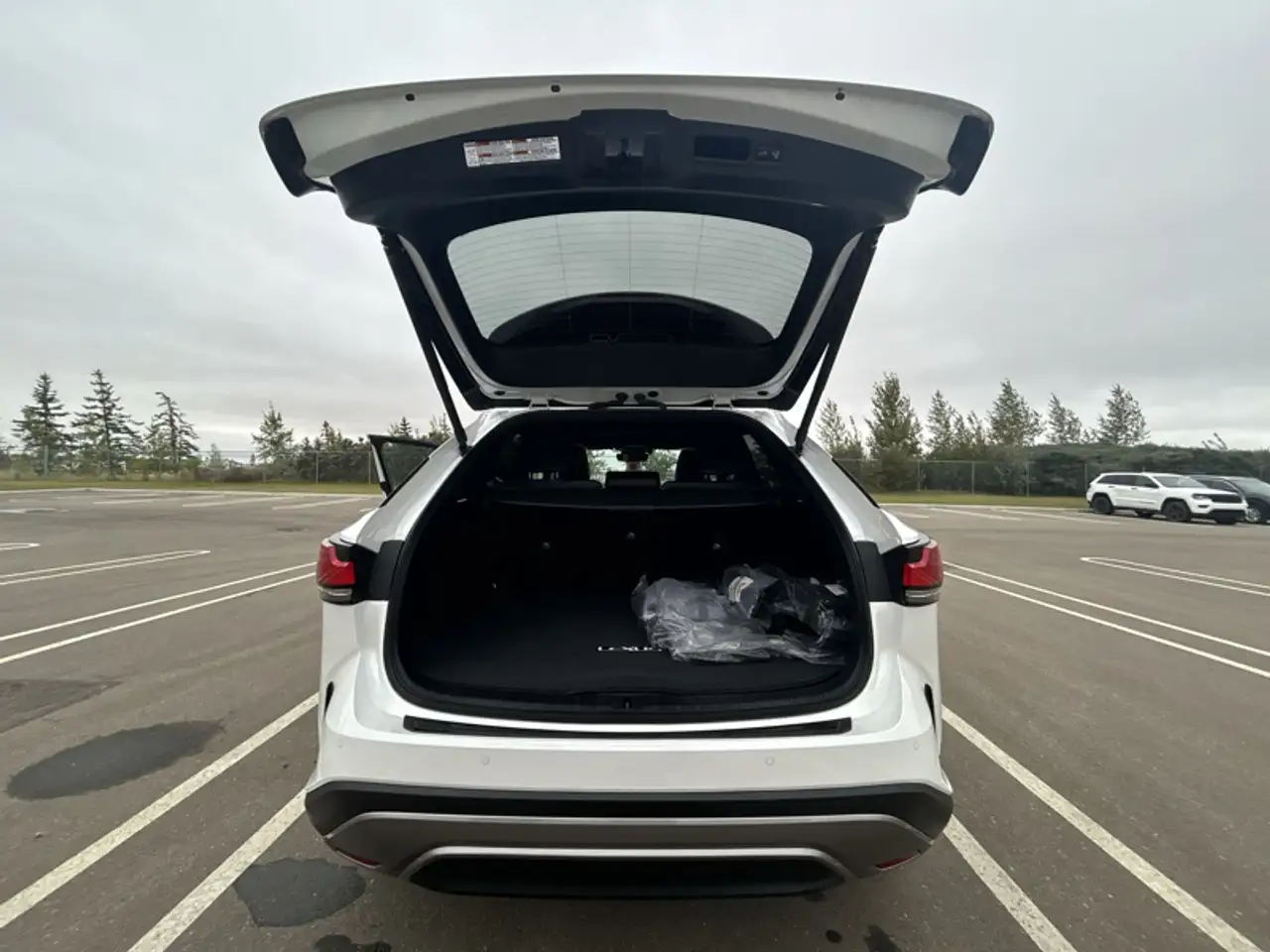 Lexus RX - Image 20