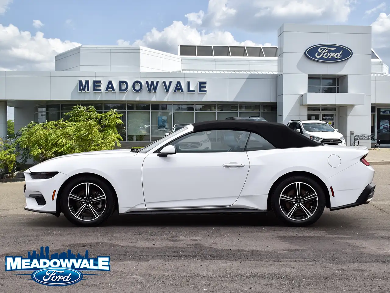 Ford Mustang - Image 5