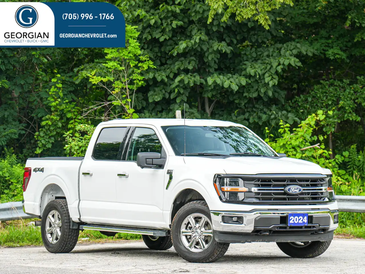 Ford F-150 - Image 1