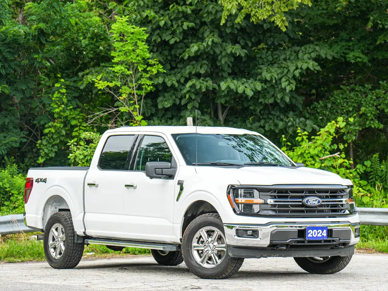 Ford F-150 - Image 2