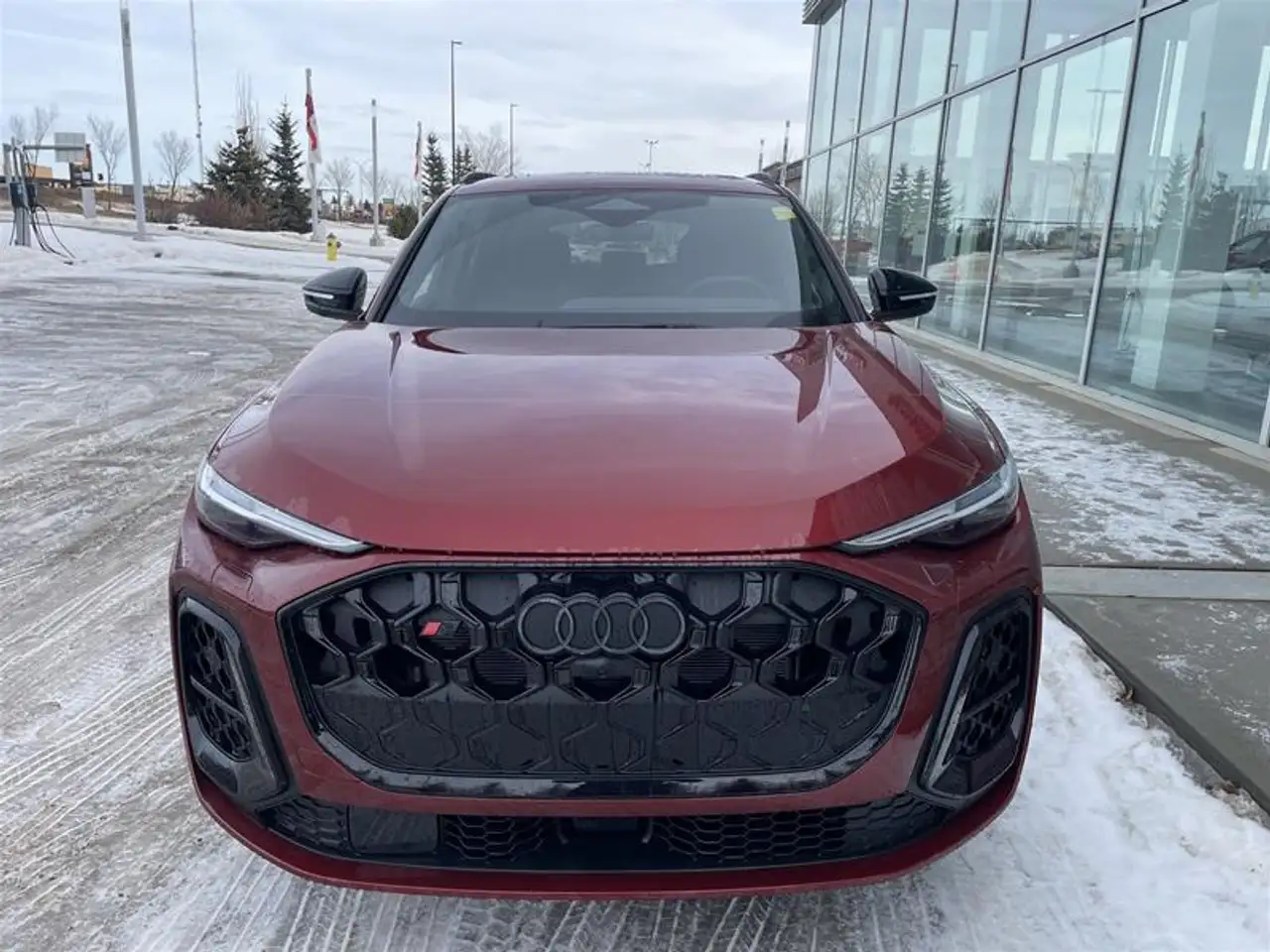 Audi SQ5 - Image 3