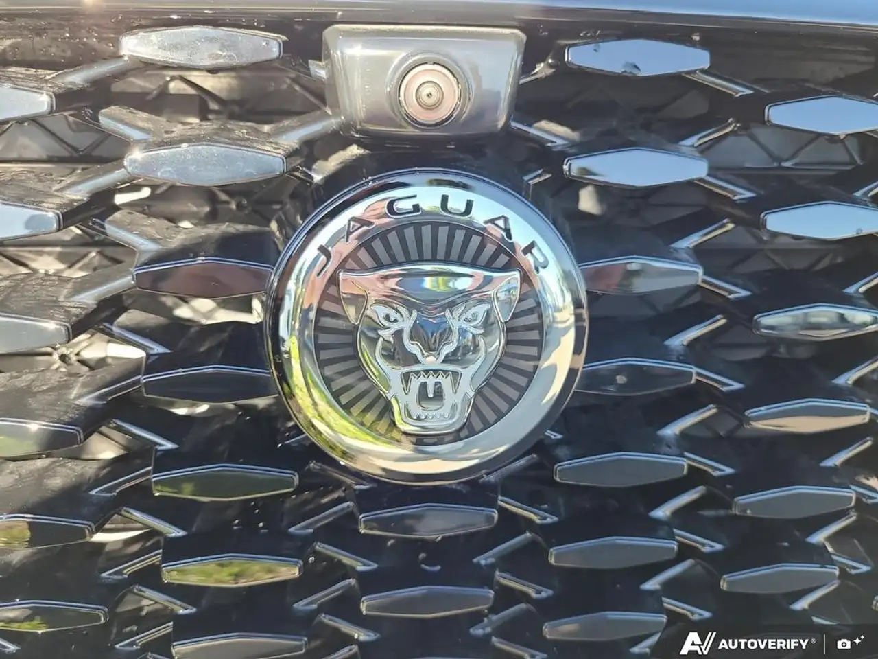 Jaguar F-Pace - Image 8