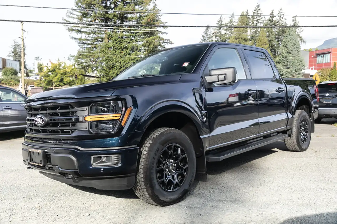 Ford F-150 - Image 3