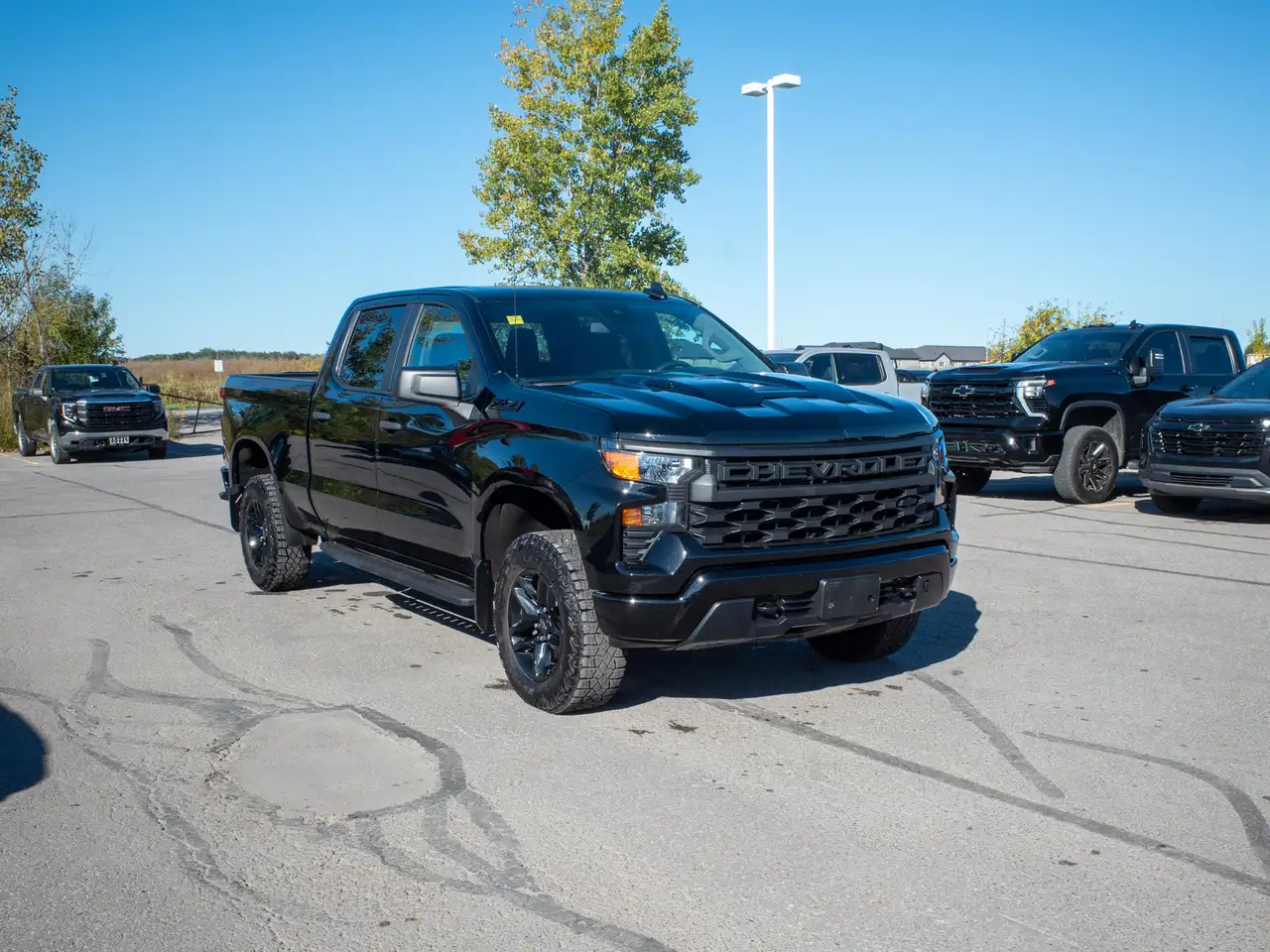 Chevrolet Silverado 1500 - Image 10