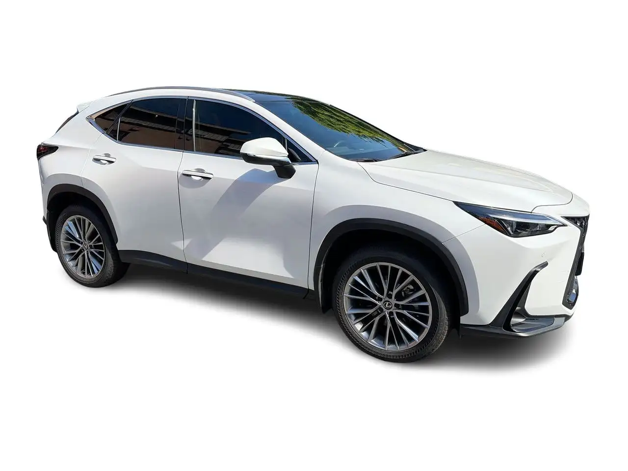Lexus NX - Image 17