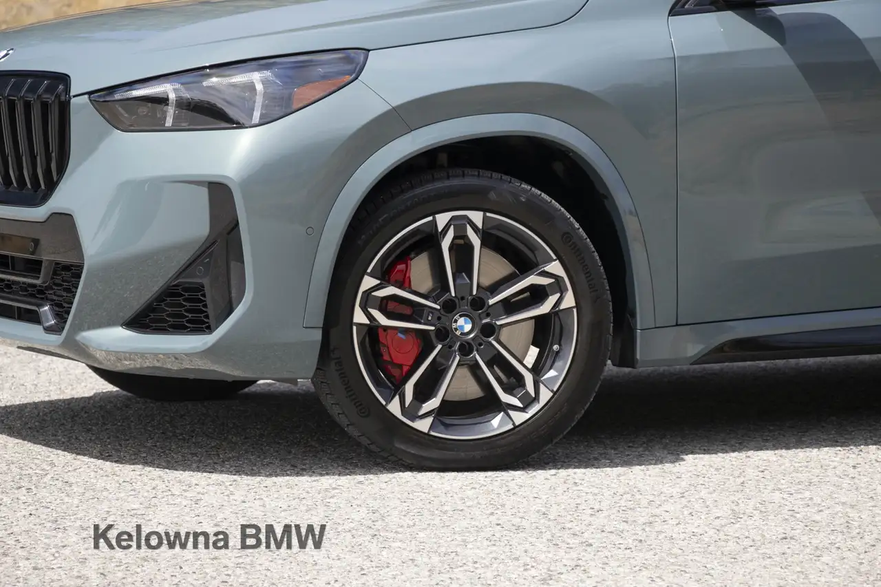 BMW X1 - Image 2