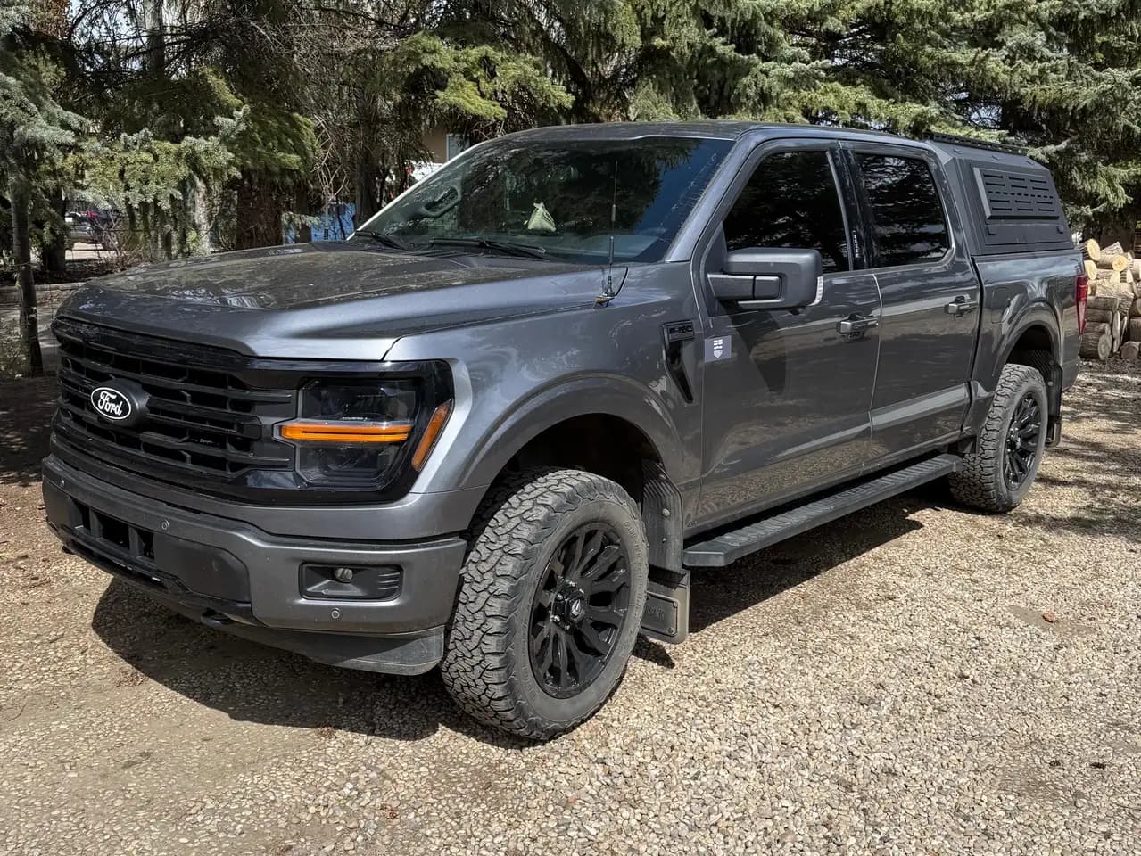 Ford F-150 - Image 1