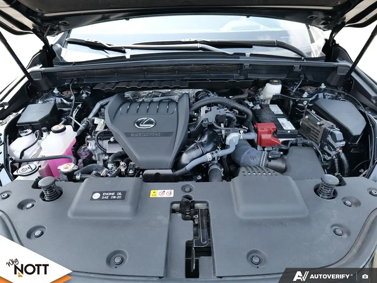 Lexus NX 350 - Image 8