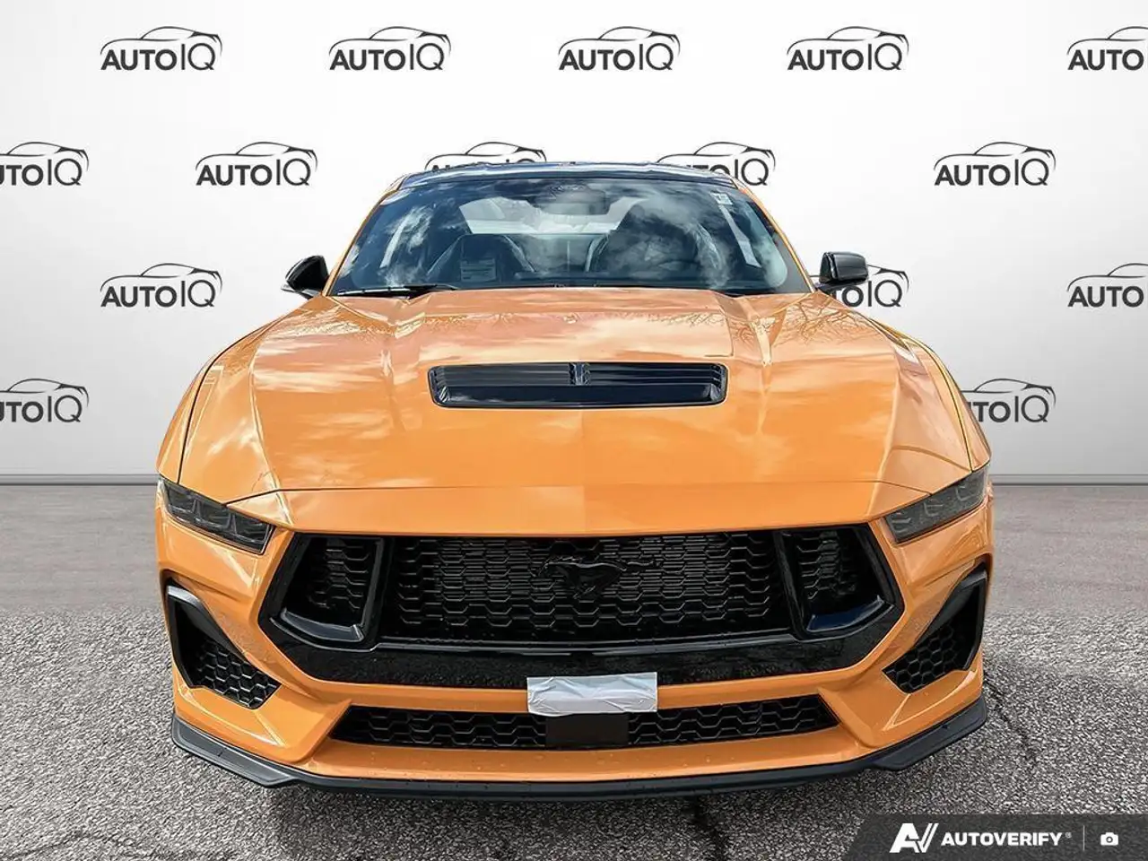 Ford Mustang - Image 2
