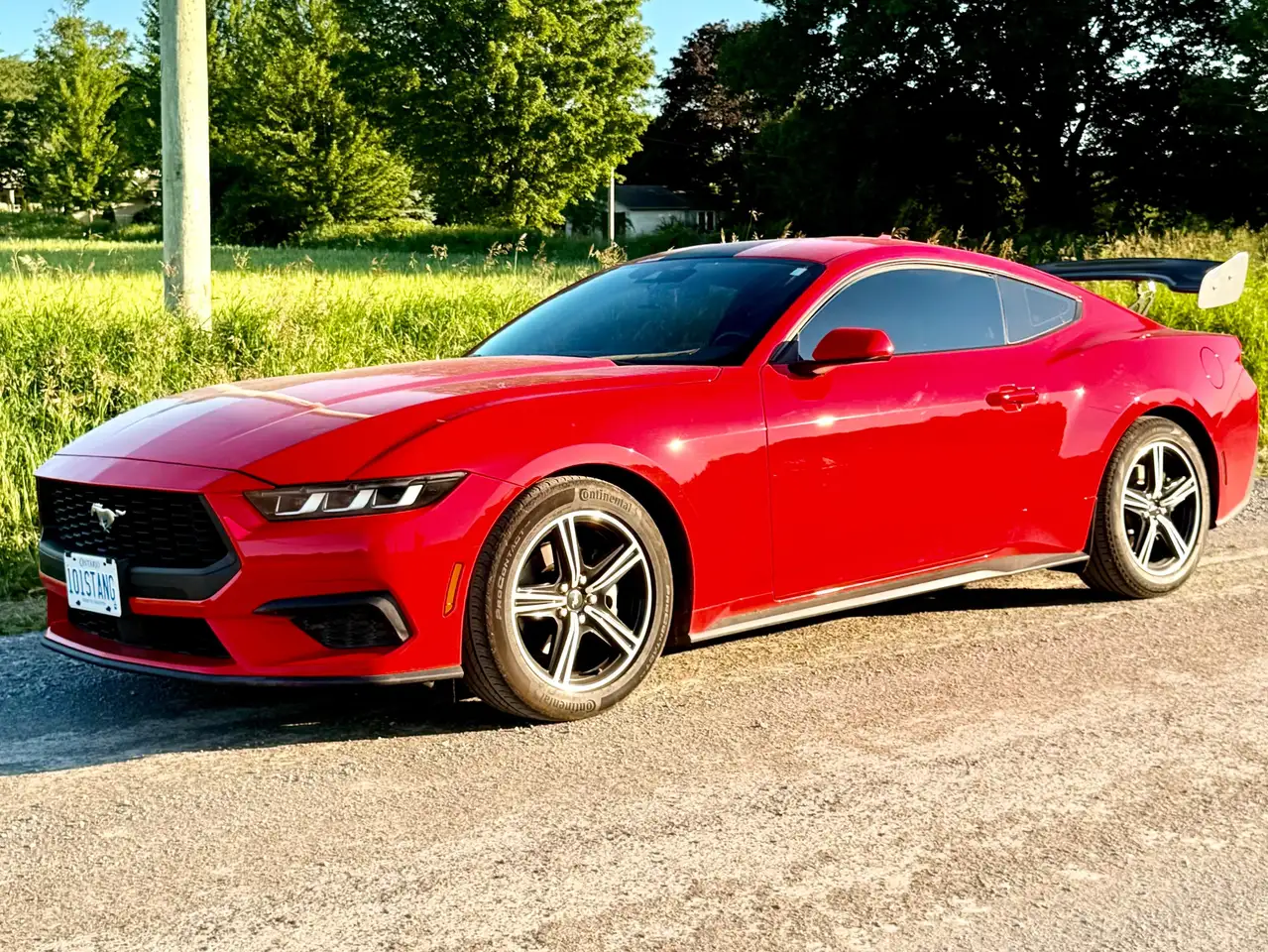 Ford Mustang - Image 15