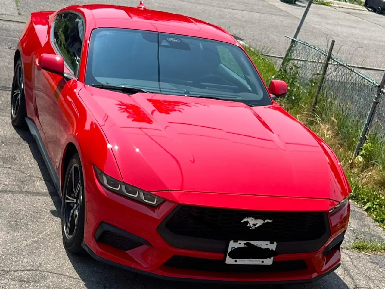 Ford Mustang - Image 12