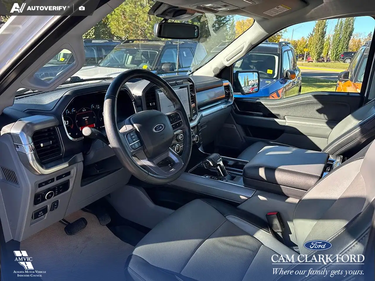 Ford F-150 - Image 13