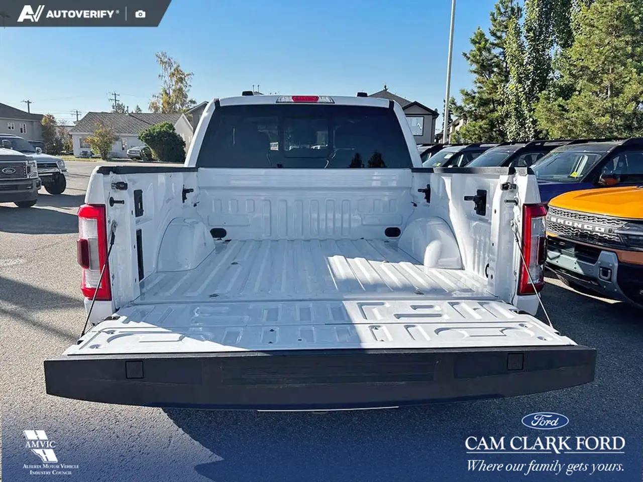 Ford F-150 - Image 12